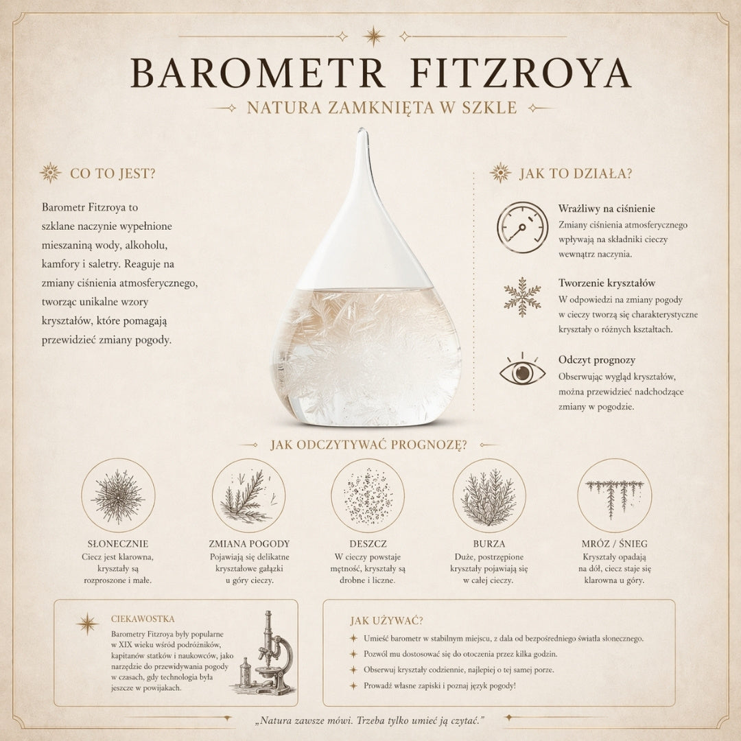 Barometro Temporalesco Fitzroya Globo con Possibilità di Incisione - Elegante Decorazione da Scrivania in Vetro e Legno, Altezza 18,5 cm