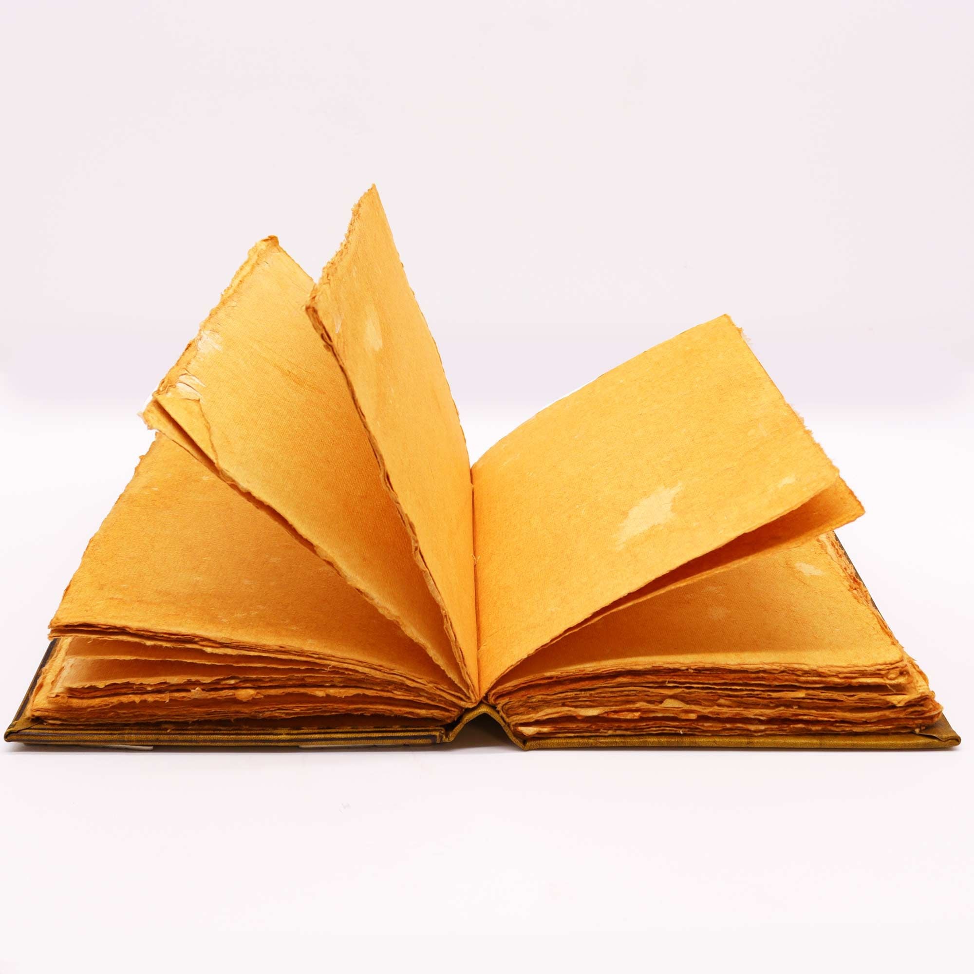 Libro Hefty Coffee Tan con Decorazione a Forma di Civetta