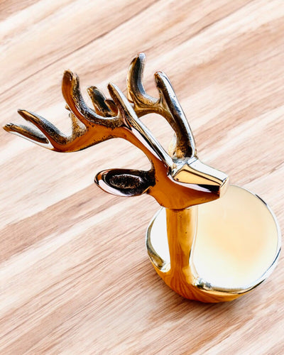 Elegante ciotola Bellezza Cornuta – Artigianato dall’India, personalizzazione con incisione