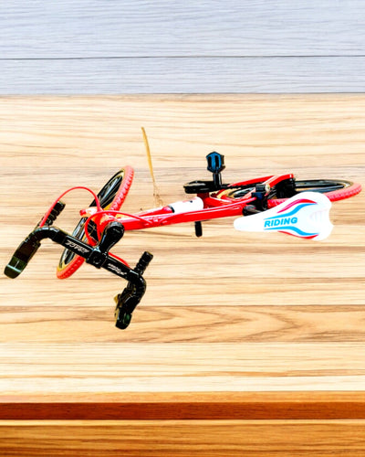 Modello in Miniatura di Bicicletta Rossa in Metallo "SpeedMaster" personalizzazione con incisione per regalo, 2 varianti di colore