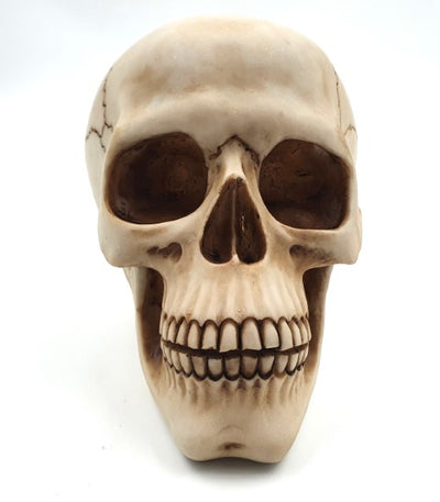Figura decorativa teschio 15 cm in poli-resina con possibilità di personalizzazione tramite incisione
