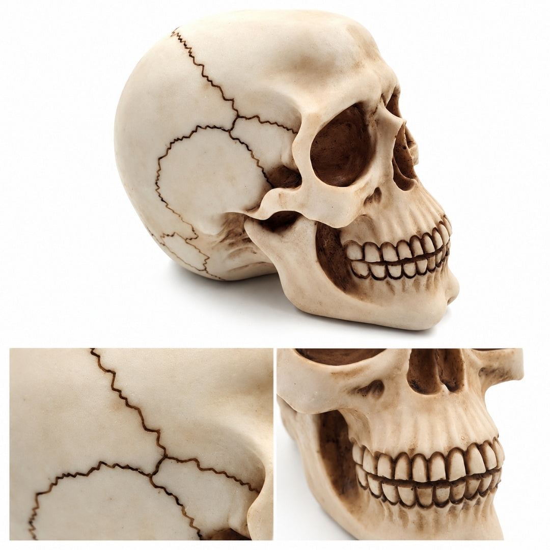 Figura decorativa teschio 15 cm in poli-resina con possibilità di personalizzazione tramite incisione