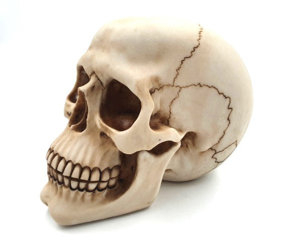 Figura decorativa teschio 15 cm in poli-resina con possibilità di personalizzazione tramite incisione