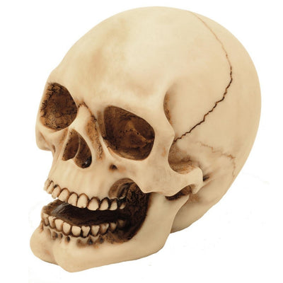Statuetta a forma di teschio da 10 cm con possibilità di incisione – decorazione in poliresina dipinta a mano, regalo per gli amanti dello stile gotico e dark