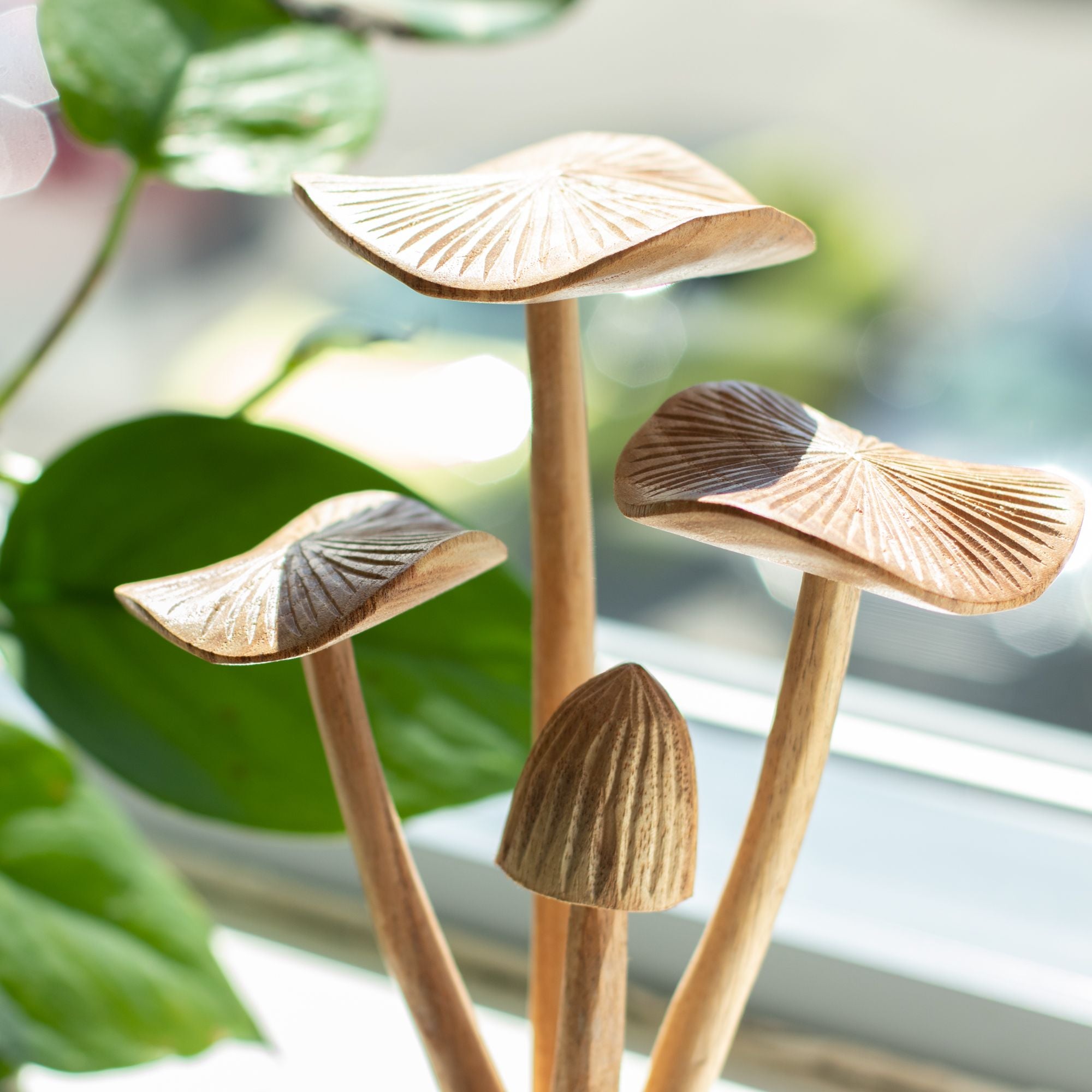 Funghi forestali intagliati a mano - Set di 4 grandi funghi in legno naturale, perfetti come regalo - Altezza 14 cm, stile rustico unico, ideali per la decorazione d'interni