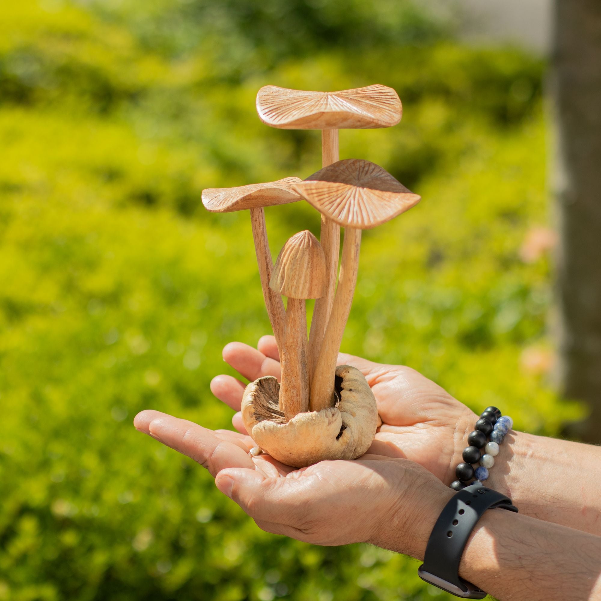 Funghi forestali intagliati a mano - Set di 4 grandi funghi in legno naturale, perfetti come regalo - Altezza 14 cm, stile rustico unico, ideali per la decorazione d'interni