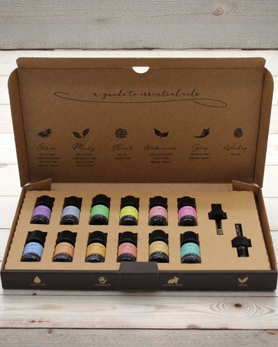 Armonia autunnale della natura – Set di lusso di 12 oli essenziali da 5 ml con contagocce