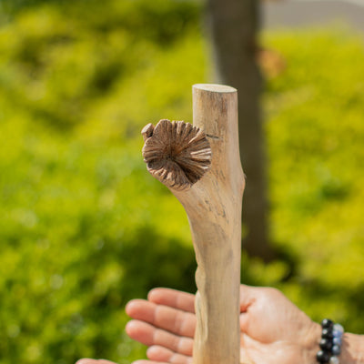 Figure intagliate a mano dell'Uomo Verde in legno parassita