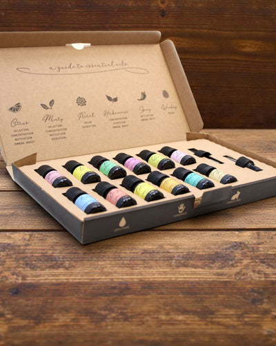 Essenza del Mondo – Confezione di lusso di 12 oli essenziali più popolari 5 ml con pipette