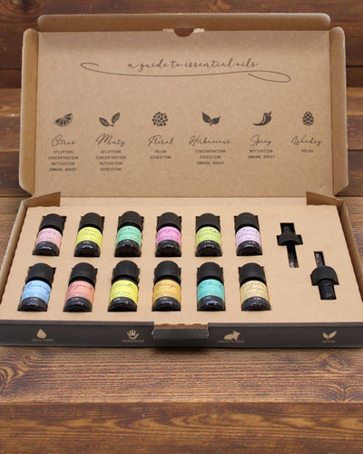 Essenza del Mondo – Confezione di lusso di 12 oli essenziali più popolari 5 ml con pipette