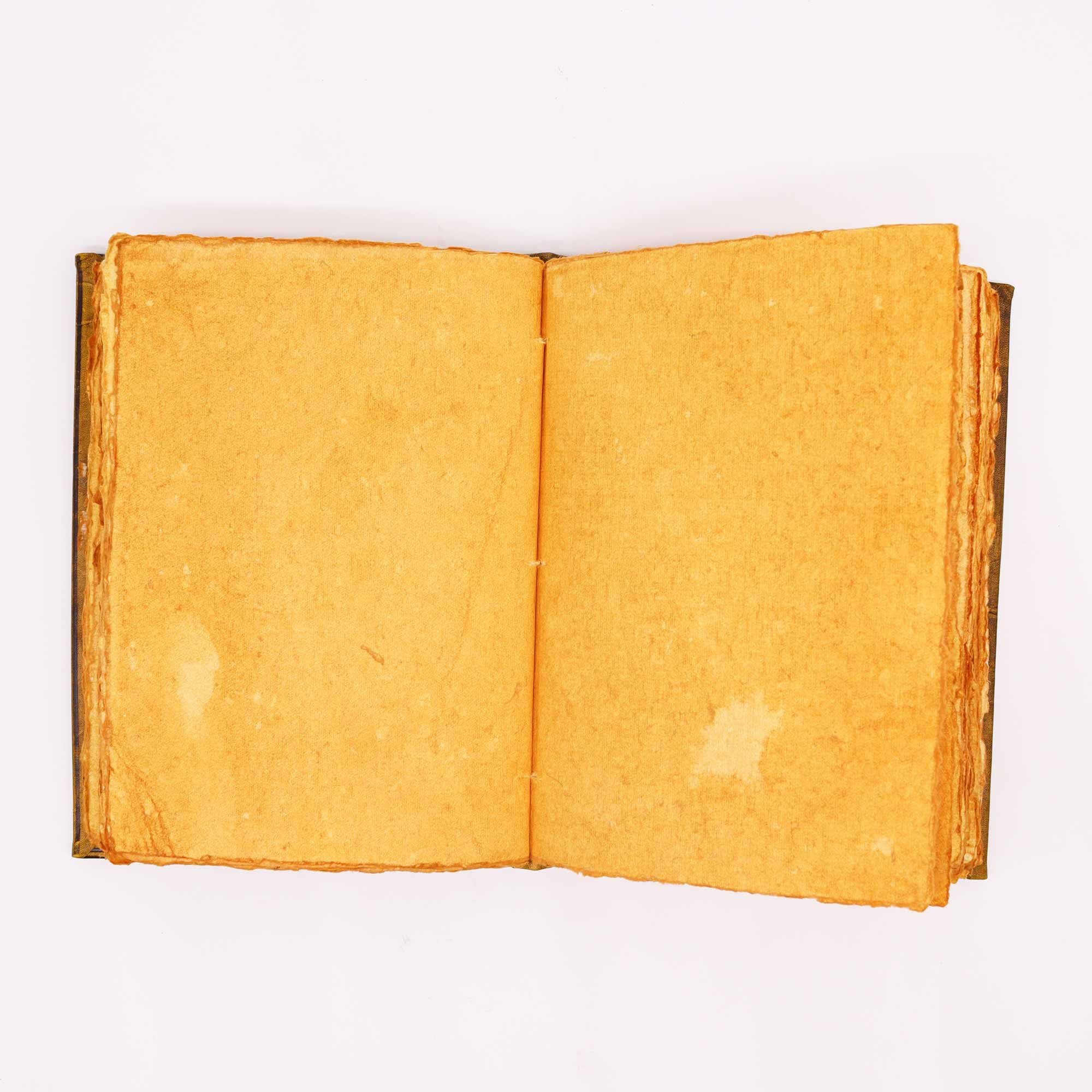 Libro Hefty Coffee Tan con Decorazione a Forma di Civetta