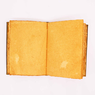 Libro Hefty Coffee Tan con Decorazione a Forma di Civetta
