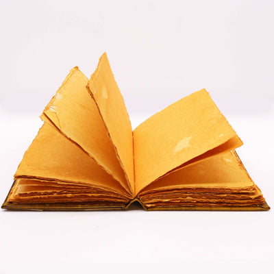 Libro Hefty Coffee Tan con Decorazione a Forma di Civetta