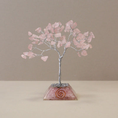 Principessa rosa