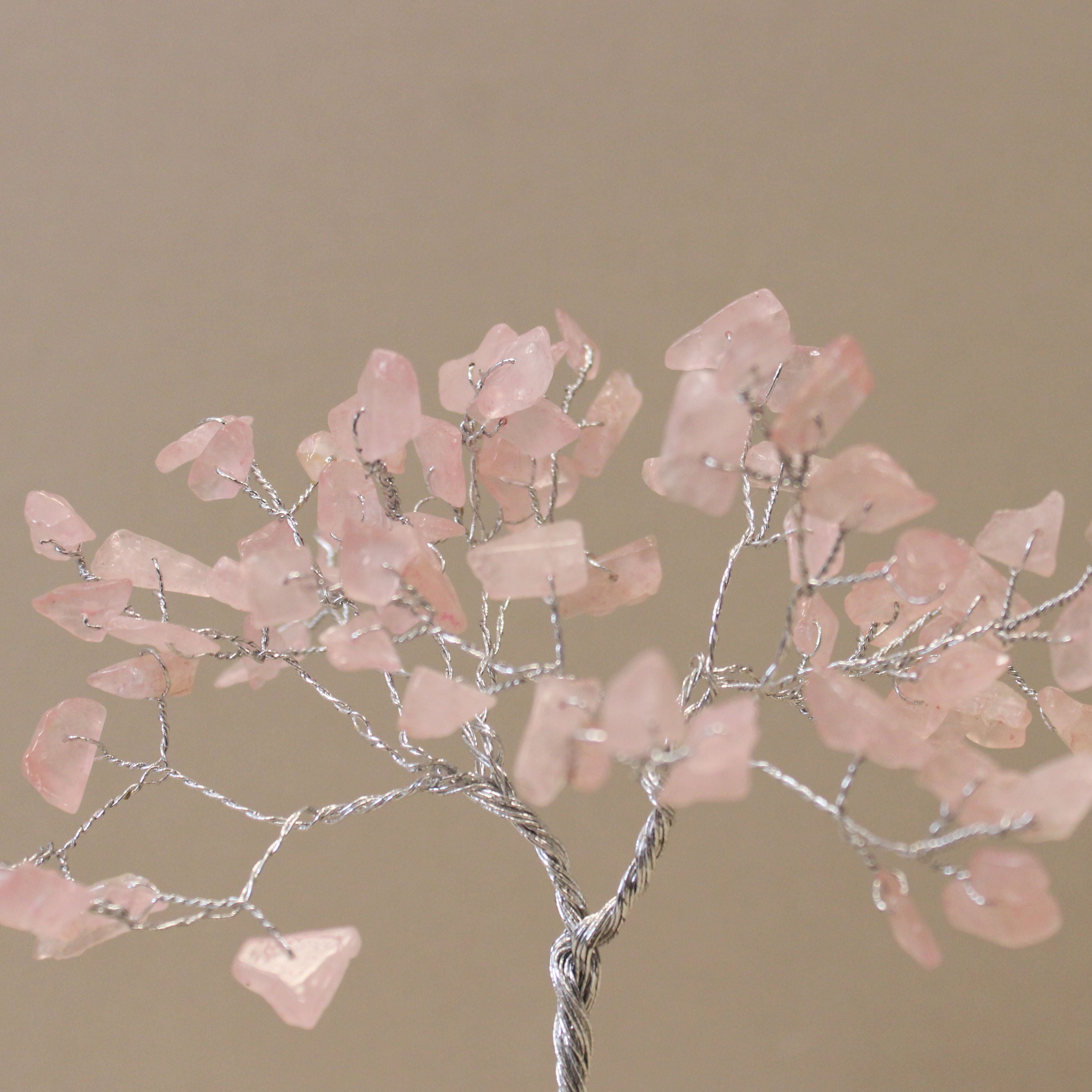 Principessa rosa