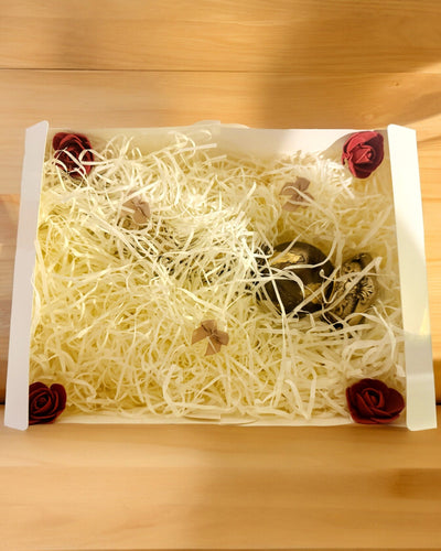 Confezionamento regali