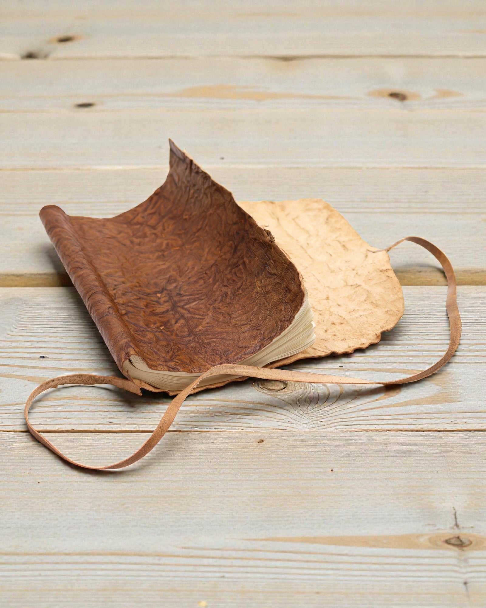 Taccuino da viaggio arrotolabile in pelle – Naturale (21 x 15 cm)