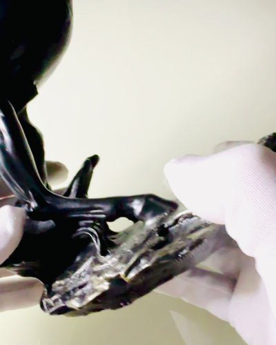 Czarna Perła - Scultura di Cavallo Eleganza in Movimento - Possibilità di Incisione